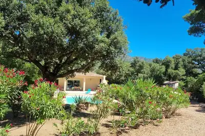 Image de Villa au calme en plein maquis proche Montagne, rivières et plages