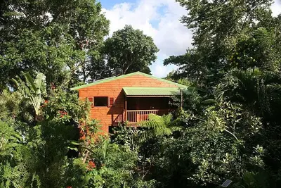 Image de Bungalow en bois rouge dans un parc à l'ambiance tropicale