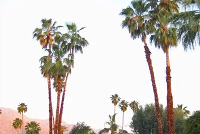 Image de Maison Mid Century Tahquitz Estates