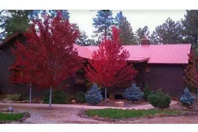 Image de Cabane luxueuse, propre et tranquille Ă Torreon!