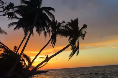 Image de Bienvenue à Beach Nirvana!