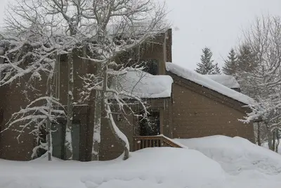 Image de La solitude d'Emmitt à Snowcreek Ii