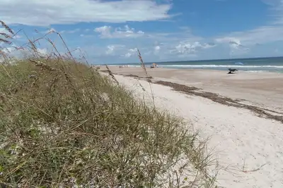 Image de Amelia Island - meilleure offre sur la plage - Animaux acceptés