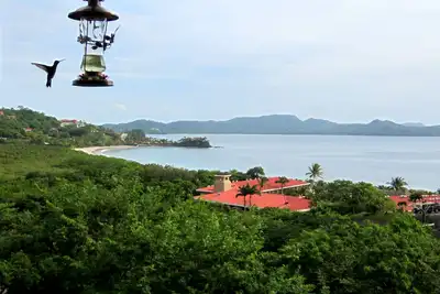Image de Million Dollar Ocean Views dans Flamingo-luxe et location pour moins!