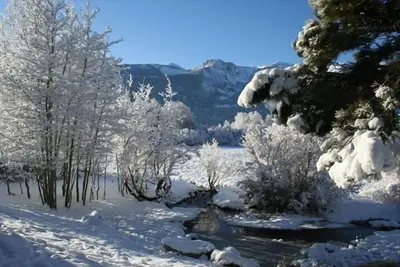 Image de Mammoth - Snowcreek 69 - Fronts sur la prairie et Mammoth Creek