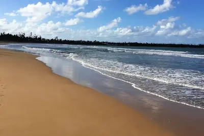 Image de Appartement de jardin sur la plage, entièrement équipé, à proximité de la forêt pluviale El Yunque.