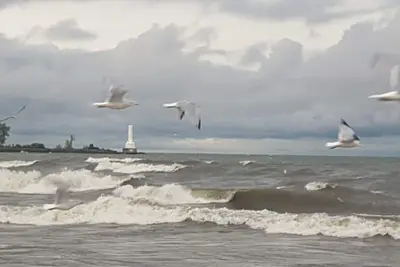 Image de Tout ce dont vous avez besoin pour des vacances à la plage!