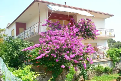 Image de Appartements Frane, (13687), Vinišće, Croatia