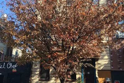 Image de Appartement Artsy moderne dans une partie de la hanche de Brooklyn