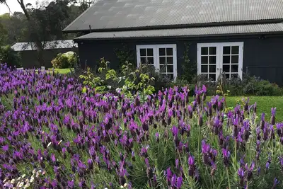 Image de Merricks Cottage - Hébergement de charme