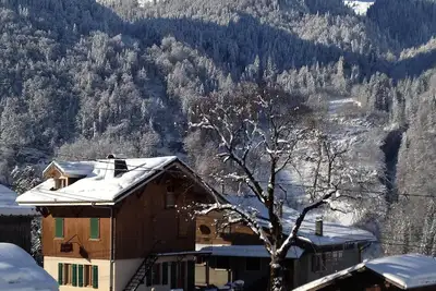 Image de Appartement duplex au pied des pistes