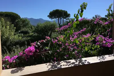 Image de La maison d'Anna, à Forte dei Marmi.