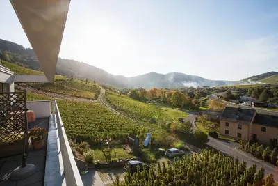 Image de Fantastique vue Mosel de l'appartement \"Pinot Noir Cabinet\", Cochem