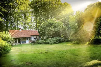 Image de Romantique 'Backhaus' à la lisière de la forêt