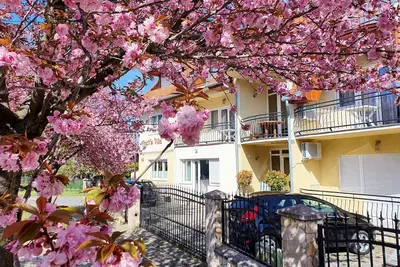 Image de Nouveaux appartements modernes, lumineuses, agréables et propres! De nombreux habitués.