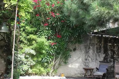 Image de Laure de Noves : gîte classé 3* de 40m² avec terrasse au bord de la piscine