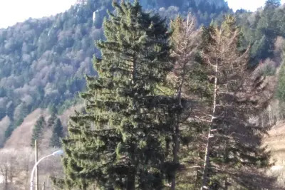 Image de Appartement 41m2 bien situé avec magnifique vue