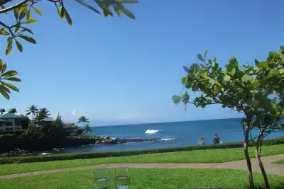 Image de Oceanfront magnifique! ! Swim W / Turtles! ! Courte distance de marche de la plage! !