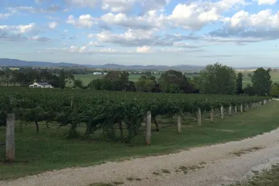Image de Belle Vignoble Hébergement