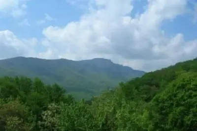 Image de Hawks Peak South 221 - Près des attractions de High Country, entrée de niveau, vue sur la montagne de grand-père - 10% de remise de dernière minute - remise incluse dans le devis en ligne