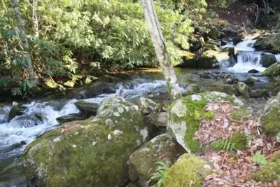 Image de A Shanty Creek Retreat, Creek - Près des attractions de High Country, 10% de remise de dernière minute - remise incluse dans le devis en ligne
