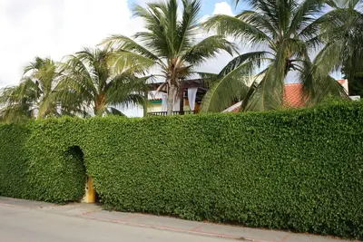 Image de Secure And Private Villa With Pool\/Hot Tub Jacuzzi In Palm Beach Village