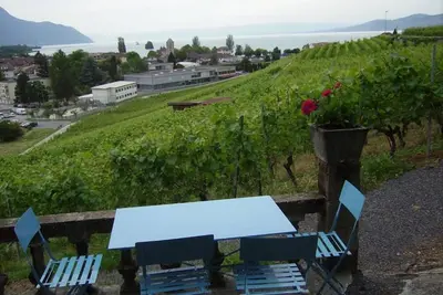 Image de maisonnette dans les vignes