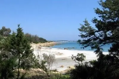 Image de Maison en bord de mer dans la pinède avec accès direct à la plage en Sardaigne
