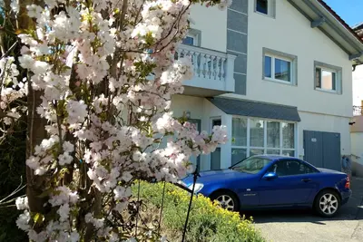 Image de Grand appartement - près du lac à Sipplingen- pour que vous vous sentiez bien!