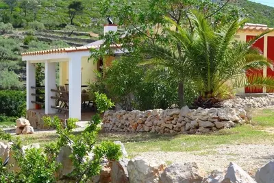 Image de Soleil, mer, paix et espace vous trouverez dans ce grand domaine d'olives.