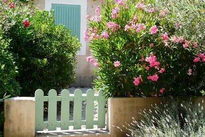 Image de Jardins de Fontanille mazet 33 au coeur des oliviers vivez la Provence