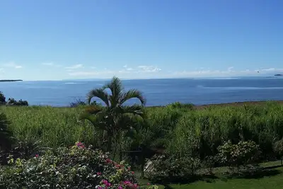 Image de Bienvenus au paradis de Do!