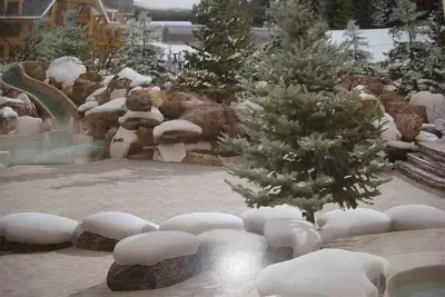 Image de Noël dans les Rocheuses Ski-in / Ski-out 21/12/19 - 28/12/19