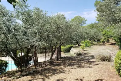 Image de Villa provençale confortable avec de superbes vues, piscine, jardin et plus de 60 oliviers