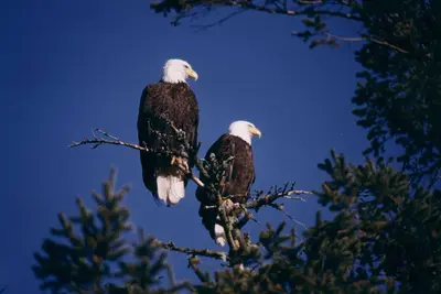 Image de Suite romantique au bord de l'eau acceptant les animaux de compagnie; proche des commodités, des sentiers et des plages.