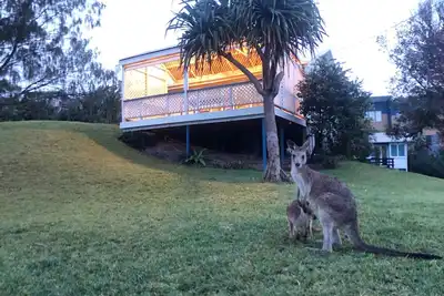 Image de Gorge Walk Cottage - Point Lookout, Qld