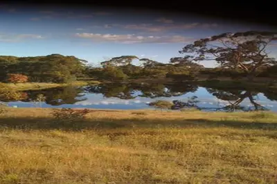 Image de Wings Barossa Bird & Bush Retreat
