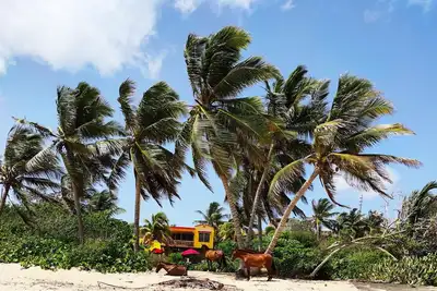 Superbe Beach Front House, «plage privée» en face! Accès direct