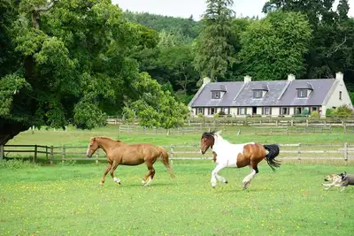 Image de Luxueuse maison de 5 chambres doubles avec salle de bains dans la campagne de Wicklow