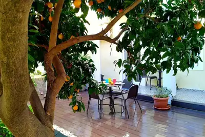 Image de Appartement ensoleillé avec jardin orange dans le centre de Lisbonne