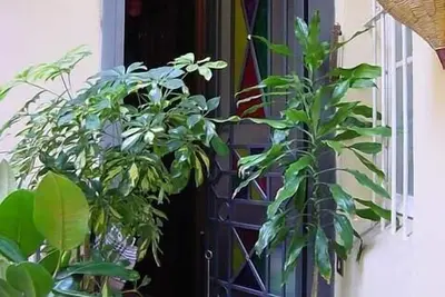 Image de Élégant appartement entièrement meublé dans le coeur de Rome Trastevere