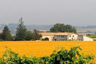 Image de ** La piscine est chaude et le jardin Chai est entouré de tournesols - Magic **