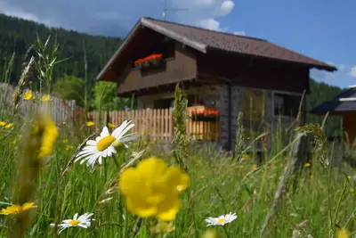 Image de Baita Meidlnhof: des vacances spéciales à la montagne