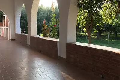 Image de La ferme de la grand-mère parmi les orangers
