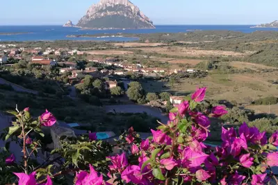 Image de Charmant appartement de deux pièces avec piscine, magnifique vue mer Golfe de Tavolara et détente
