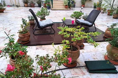 Image de Terrasse ensoleillée de fleurs dans le centre de Lisbonne