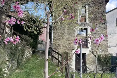Maison De Style De Monferrate En Pierre Dans Les Vignes