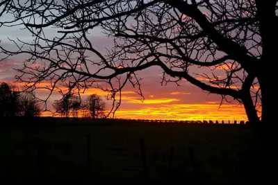 Image de La Prunerie, charmant refuge tranquille