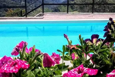 Image de Belle ferme dans les oliveraies avec piscine et vue imprenable