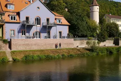Image de Fantastiques appartements avec terrasse ensoleillée sur les rives du Tauber